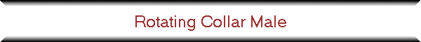 Rotating Collar Male