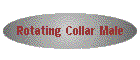 Rotating Collar Male