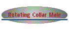 Rotating Collar Male